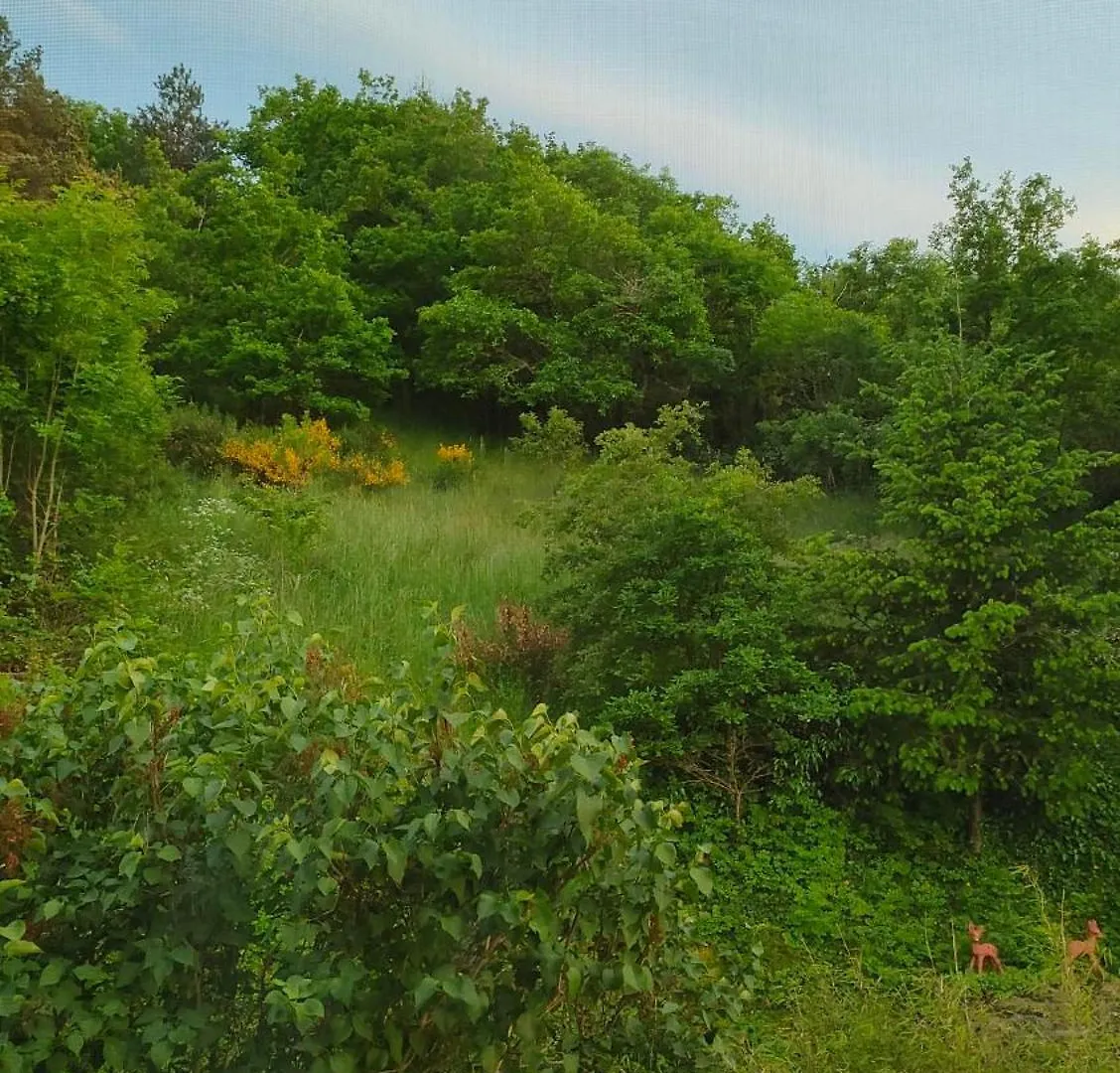 Σπίτι διακοπών Au Coeur De L'Aveyron Βίλα Montagnol